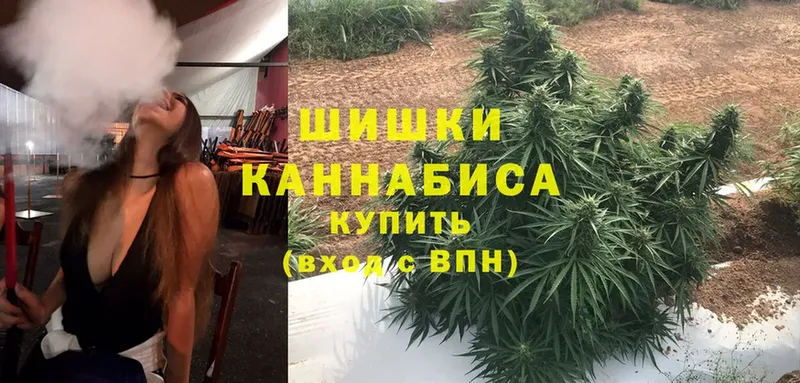 сайты даркнета формула  Бийск  Шишки марихуана SATIVA & INDICA 